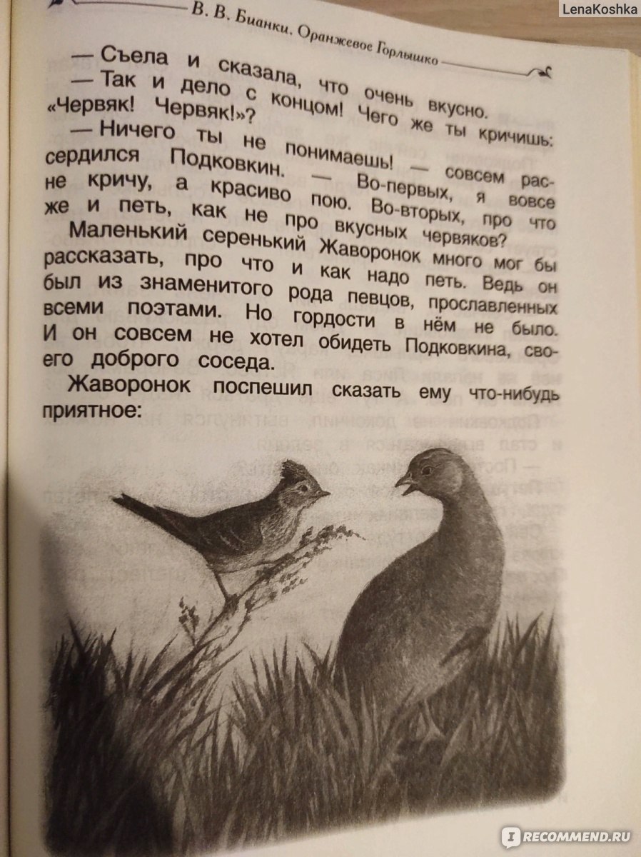 Содержание для читательского дневника оранжевое горлышко