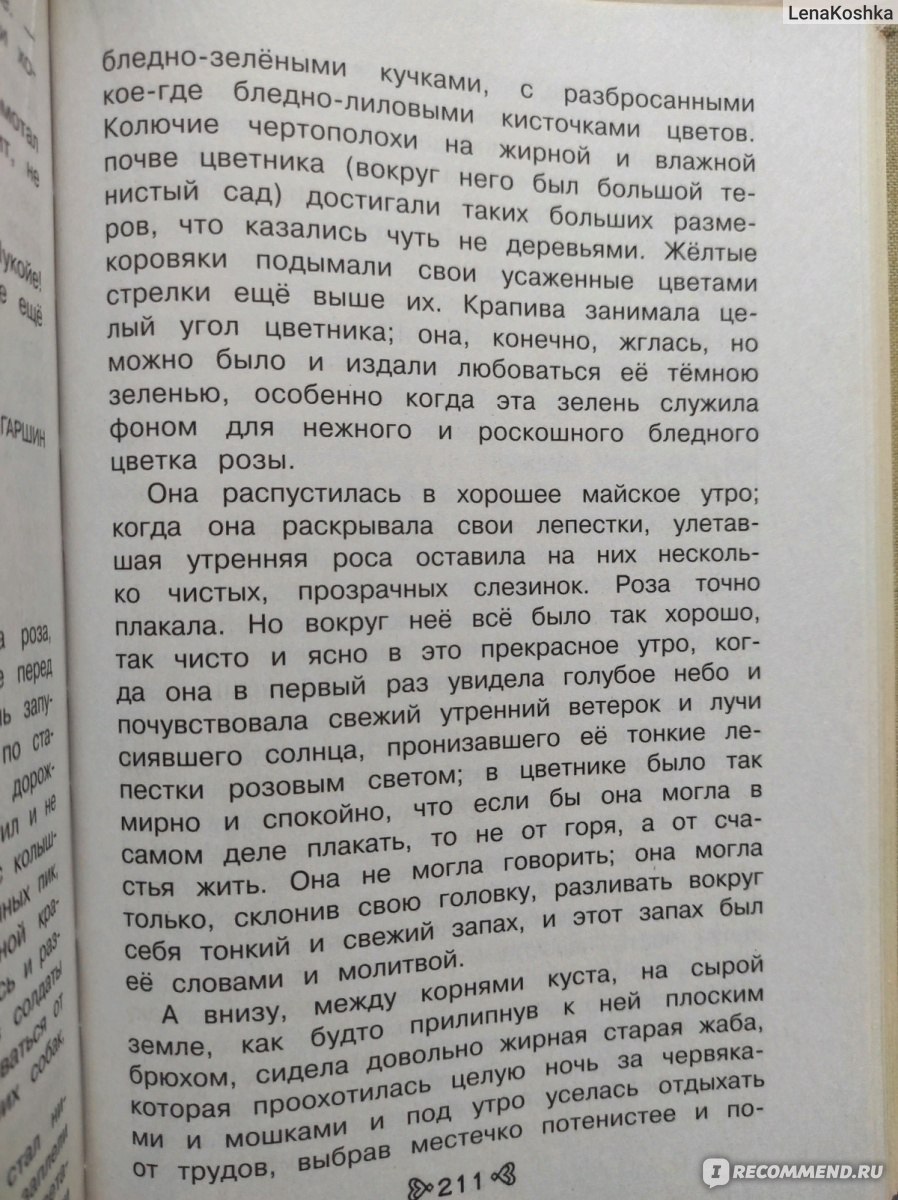 Сказка о жабе и розе. Всеволод Гаршин - «Главная мысль 