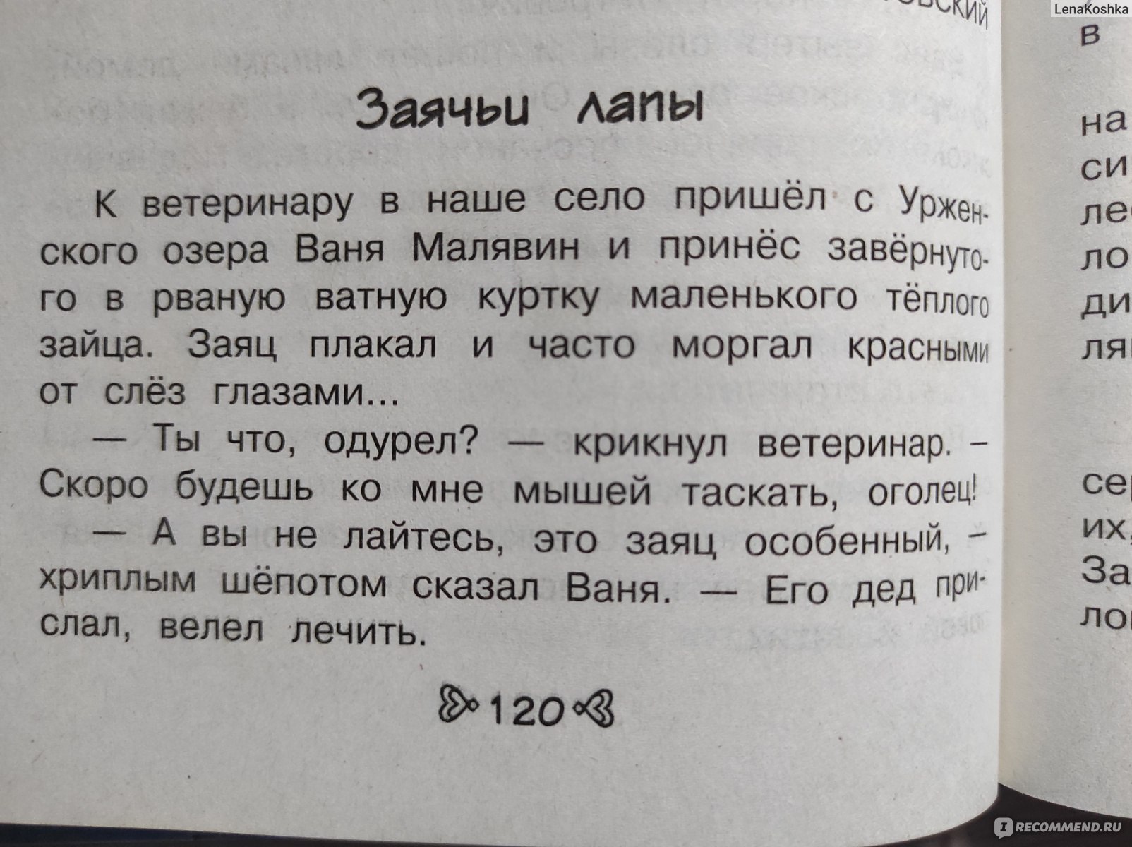 Заячьи лапы. Константин Паустовский - «Главная мысль рассказа Заячьи лапы  Константина Паустовского. Помогай другим — и беда минует тебя.» | отзывы