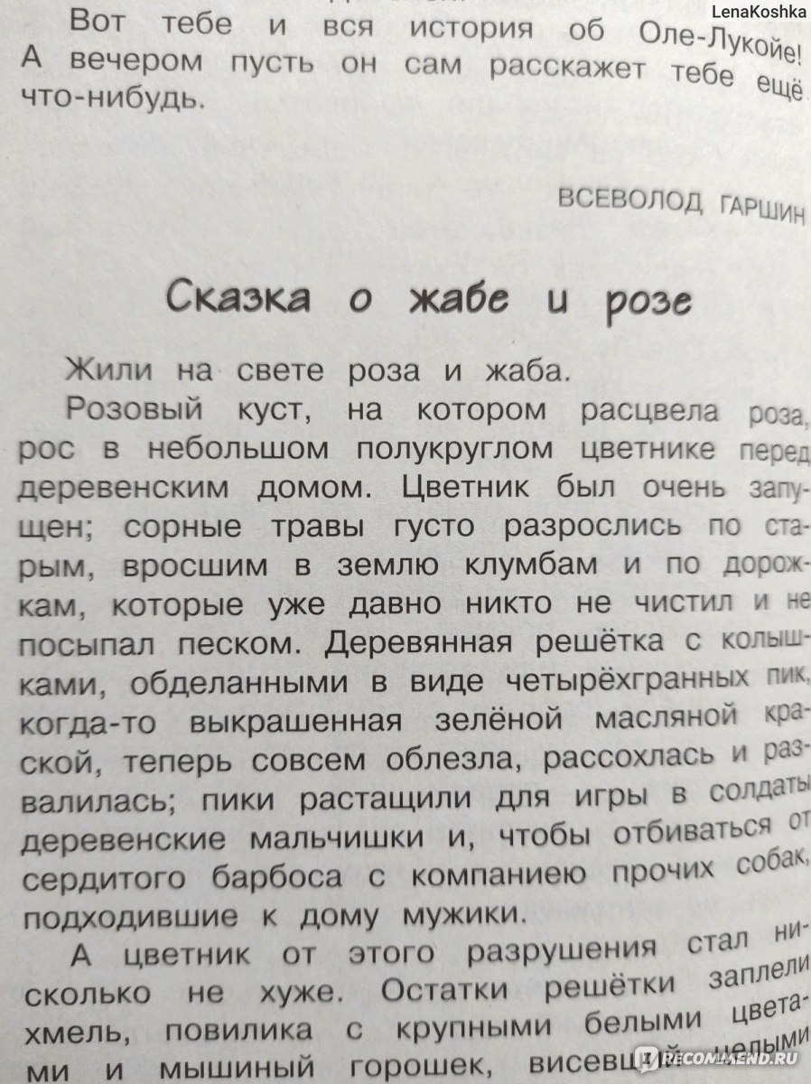 Сказка о жабе и розе. Всеволод Гаршин - «Главная мысль 