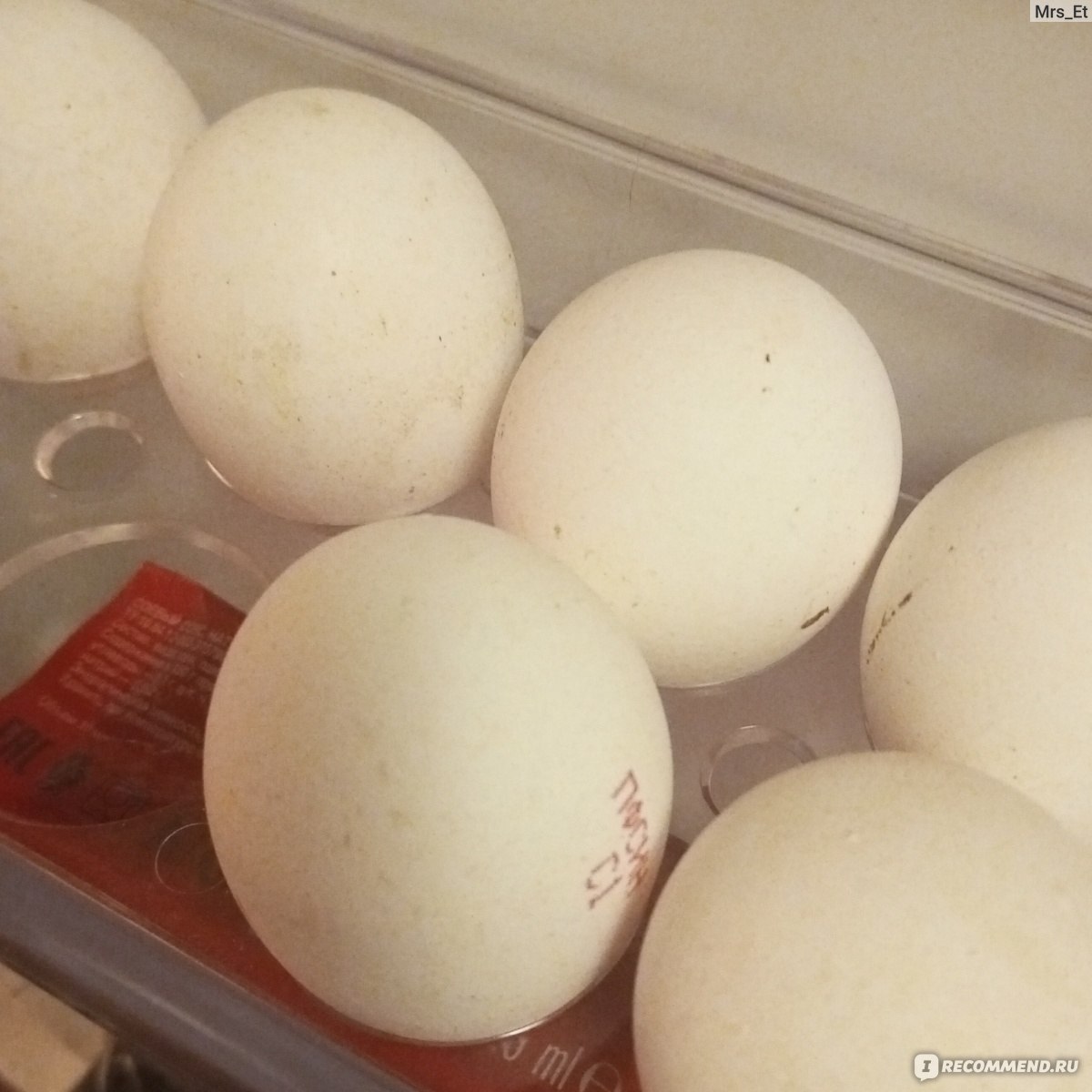 Что делать при отравлении яйцами курицы?