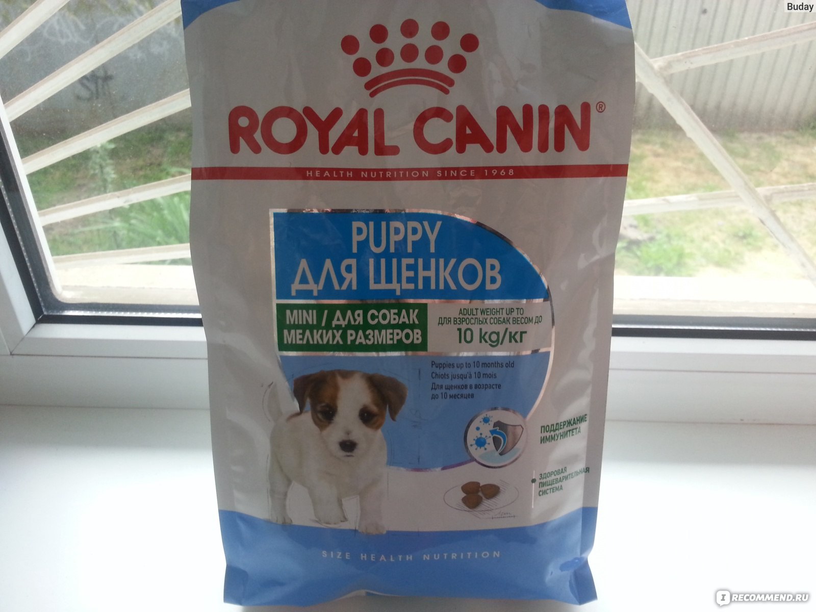 Роял канин для щенков мелких. Royal Canin Mini Puppy (2 кг). Роял Канин для щенков от 2 месяцев. Корм Роял Канин Паппи 2-10 месяцев. Роял Канин для щенков до 10 месяцев.