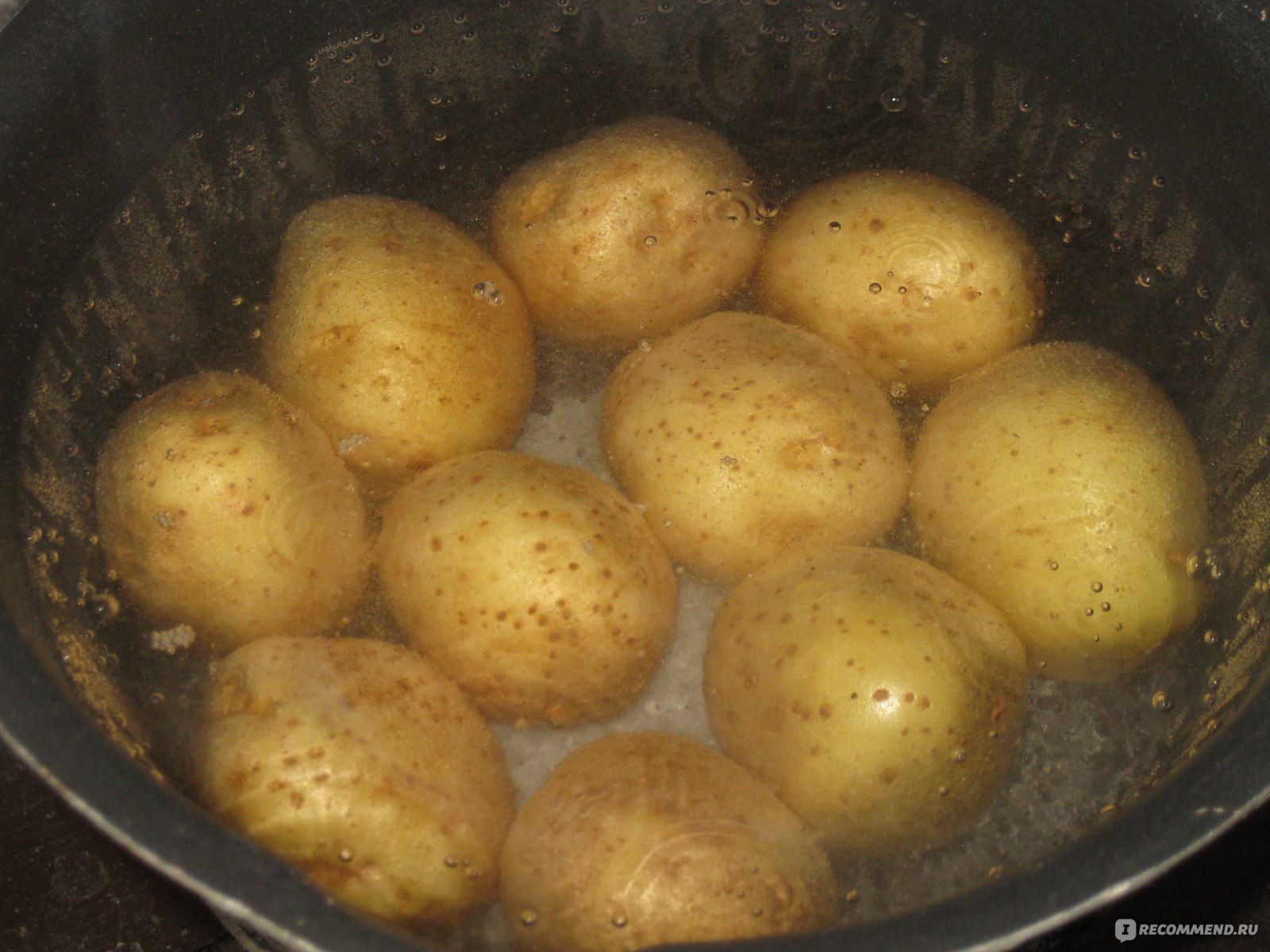 картофель сорт гала фото