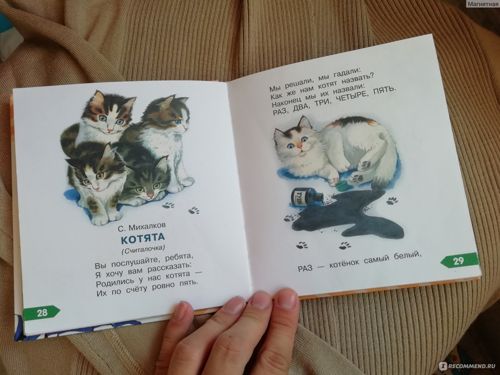Стихи котенок Берестова для детей