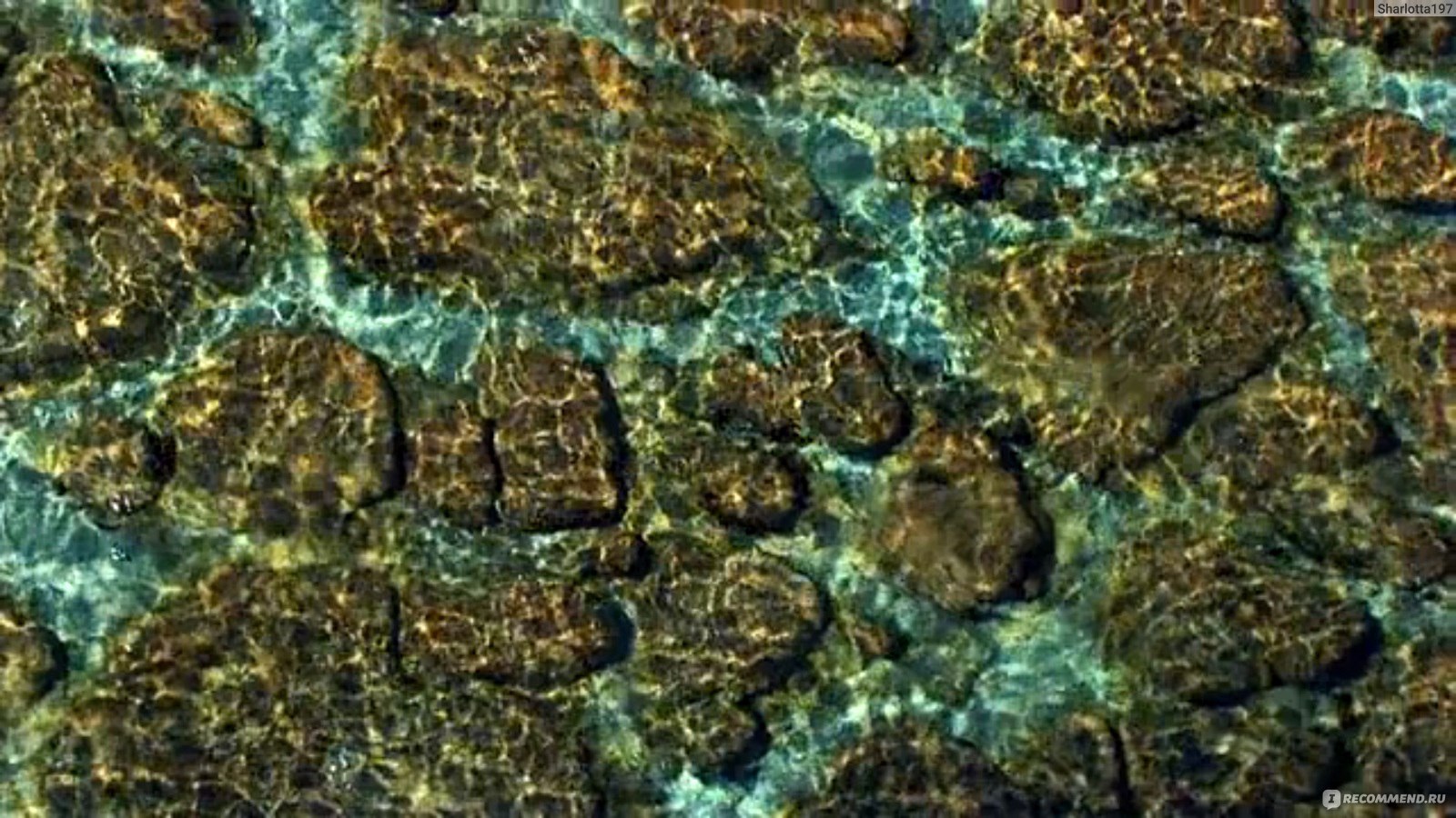 Планета-океан (2012, фильм) фото