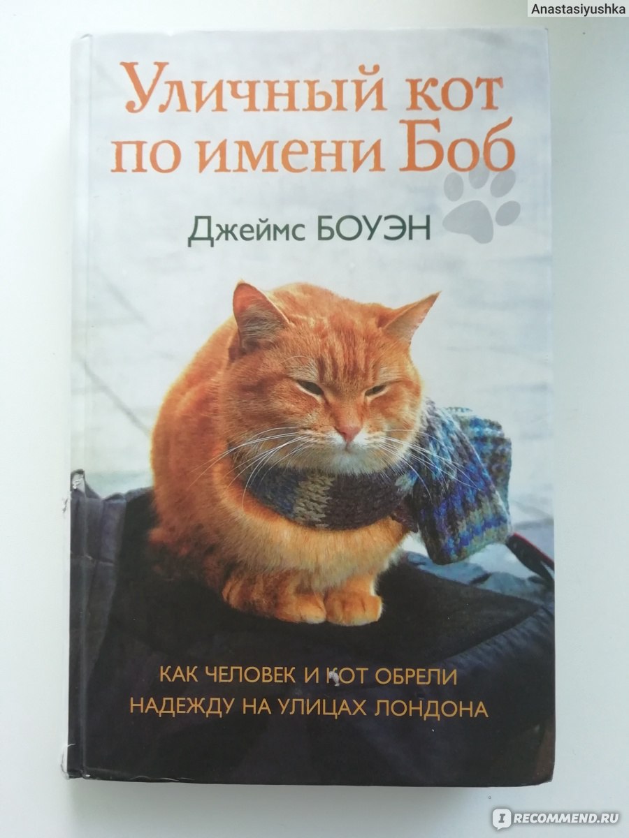 Уличный кот по имени Боб. Джеймс Боуэн - «Очень добрая книга» | отзывы