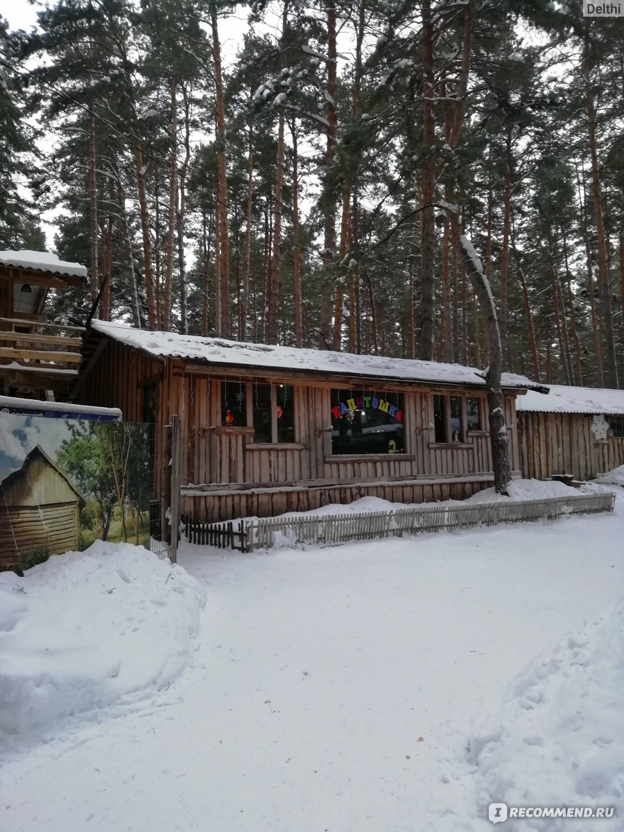 Ульяновский Зоопарк ( в парке 40 лет ВЛКСМ), Ульяновск - «Зимний поход в  зоопарк к северным оленям, лисам, птицам, обезьянкам и змеям» | отзывы