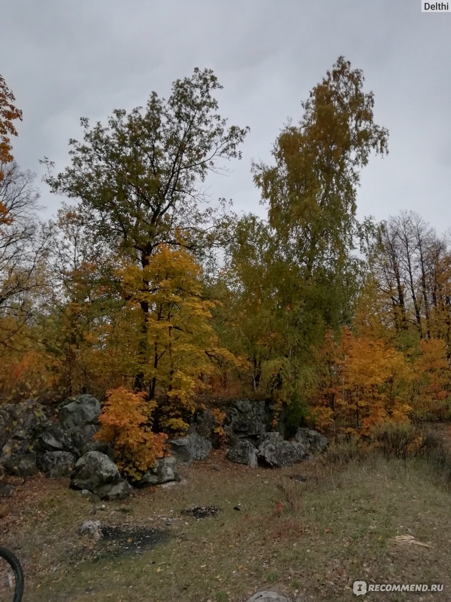 Пещеры в Красном Гуляе, Ульяновск - «Несколько пещер и каменный мостик в  красивом лесу, окрашенном осенними красками почти прямо под домом» | отзывы