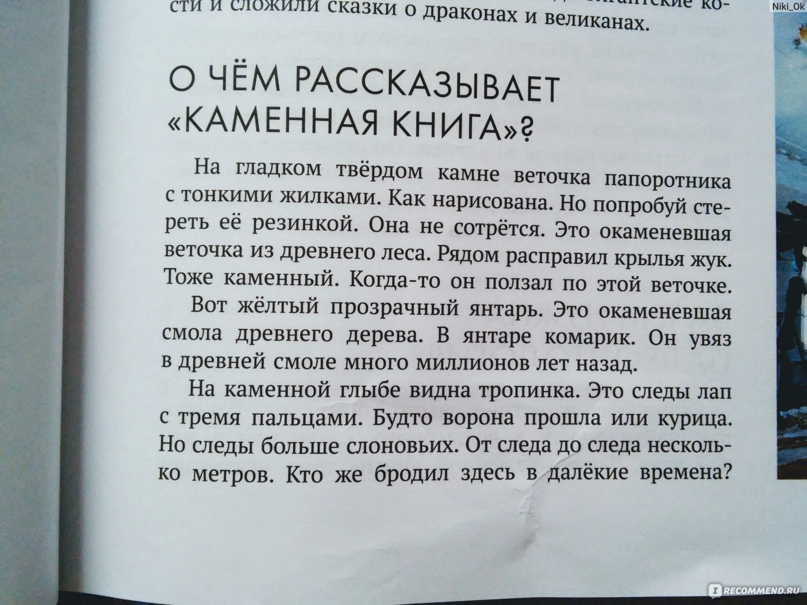 Энциклопедия животного мира. Издательский Дом Мещерякова - «Детская  энциклопедия о динозаврах и других животных мира. Красочное издание с  искусными иллюстрациями всё-таки не заслуживает рекомендаций » | отзывы