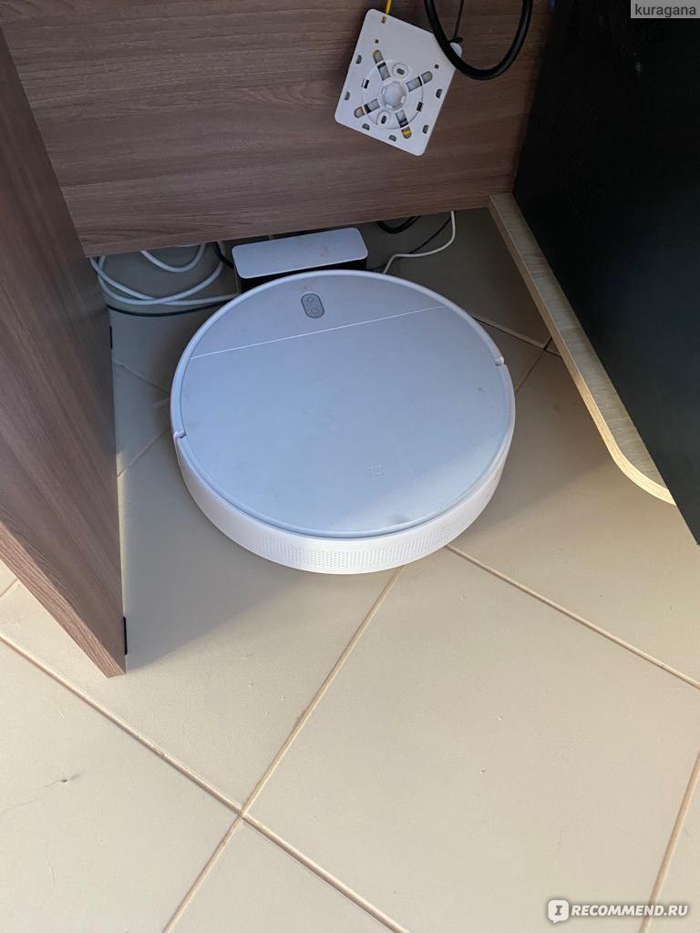 Робот-пылесос Xiaomi Mi Robot Vacuum-Mop Essential / SKV4136GL -  «Незаменимая вещь в доме с котом (особенно с мейн-куном). Робот-пылесос!» |  отзывы