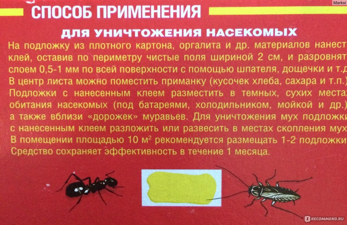 Средство инсектицидное Прошка Домовой Клей против грызунов и насекомых -  «Внимание!... Актуально для тех, кто выбирает клей от грызунов!» | отзывы