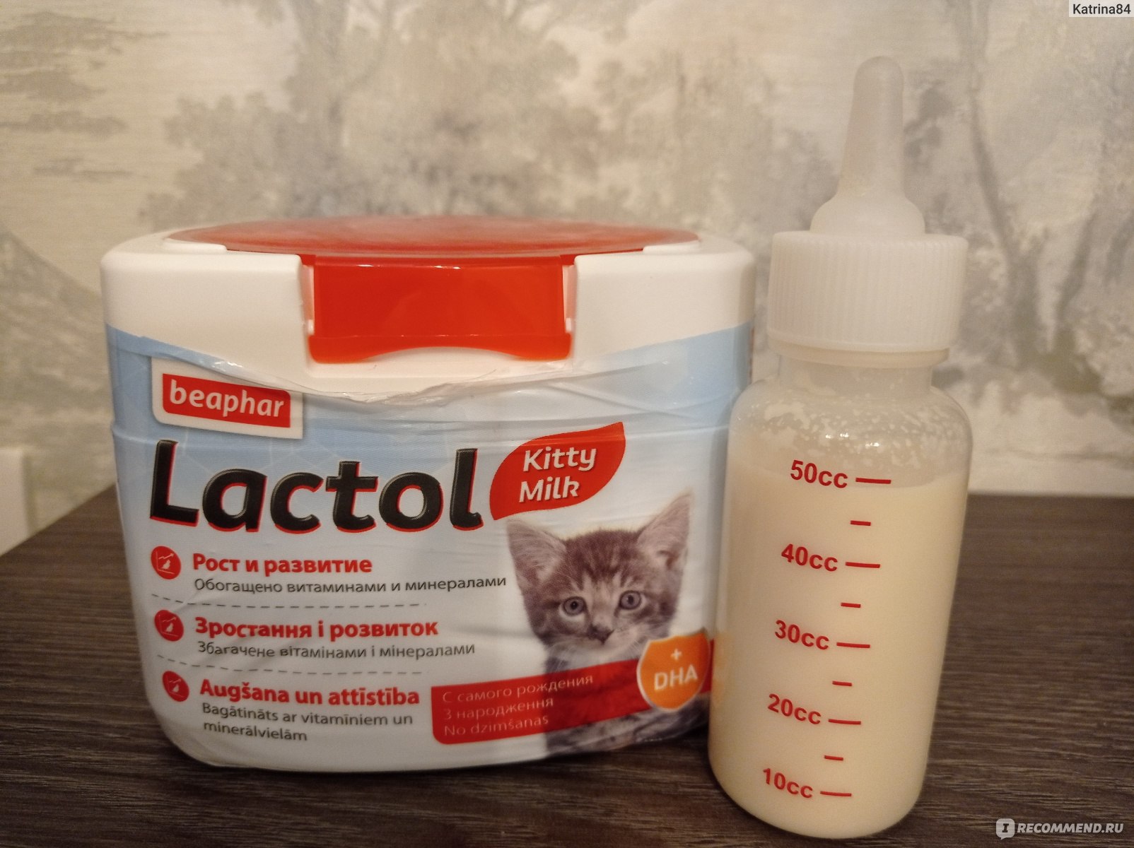 Заменитель молока для котят Beaphar Lactol Kitty Milk - «😺Уже месяц  практически полностью на искусственном вскармливании. Выкормили пятерых  котят💓. » | отзывы