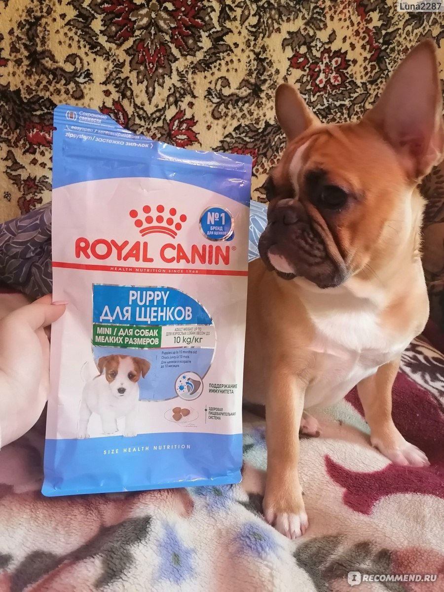 Корм для собак Royal Canin MINI PUPPY для щенков в возрасте c 2 до 10  месяцев - «Отличный старт для щенков! » | отзывы