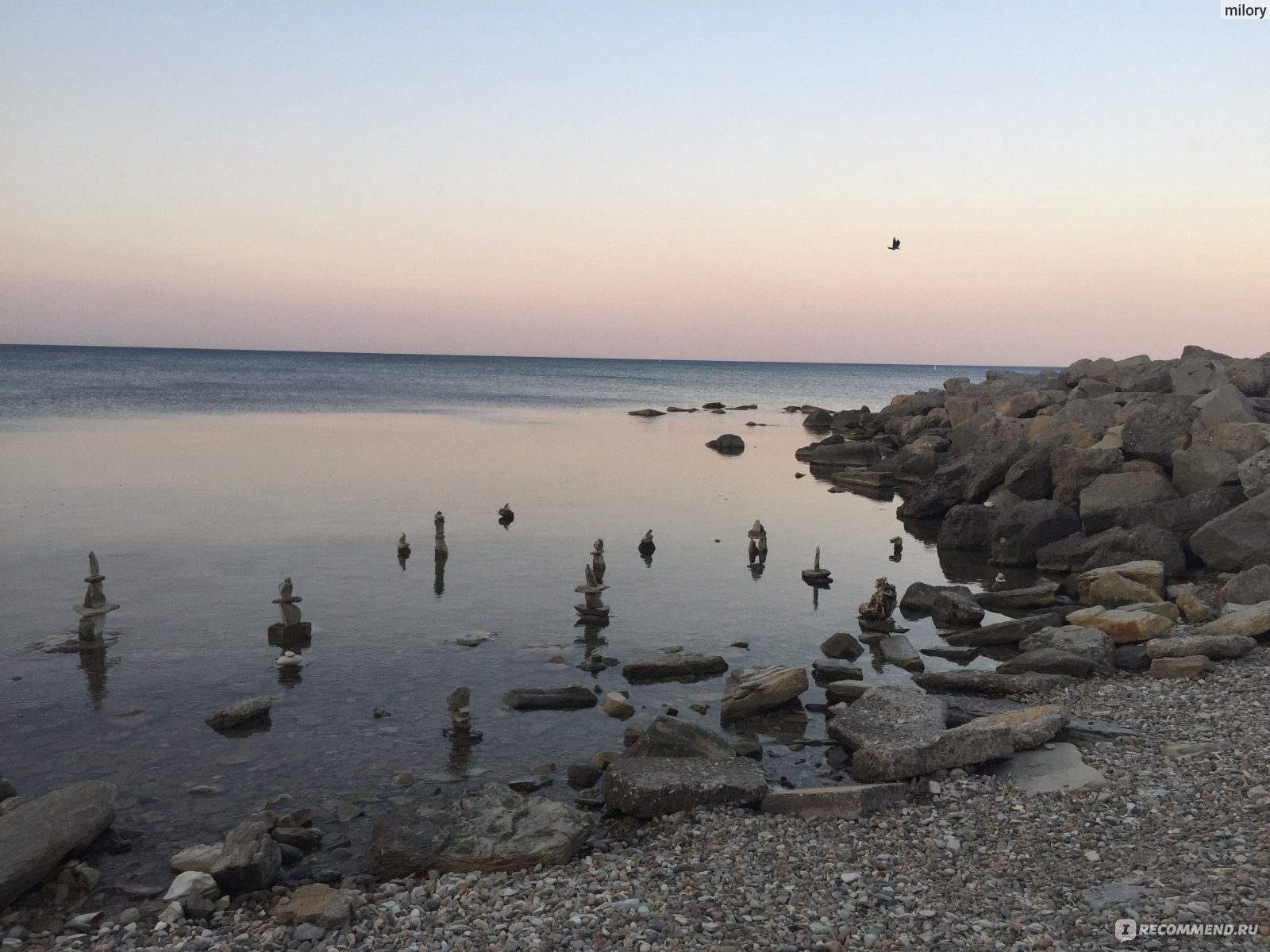 Россия, с. Дивноморское, Черное море - «Дивноморское - село под  Геленджиком. Дельфины подплывают прямо к берегу! Подробный отзыв. Отдых в  сентябре на чёрном море. » | отзывы