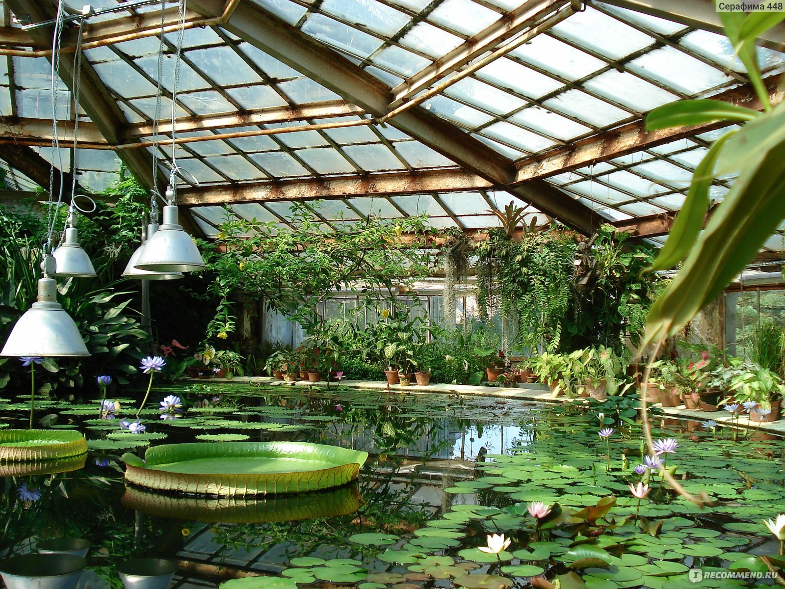 ботанический сад санкт петербург тропики
