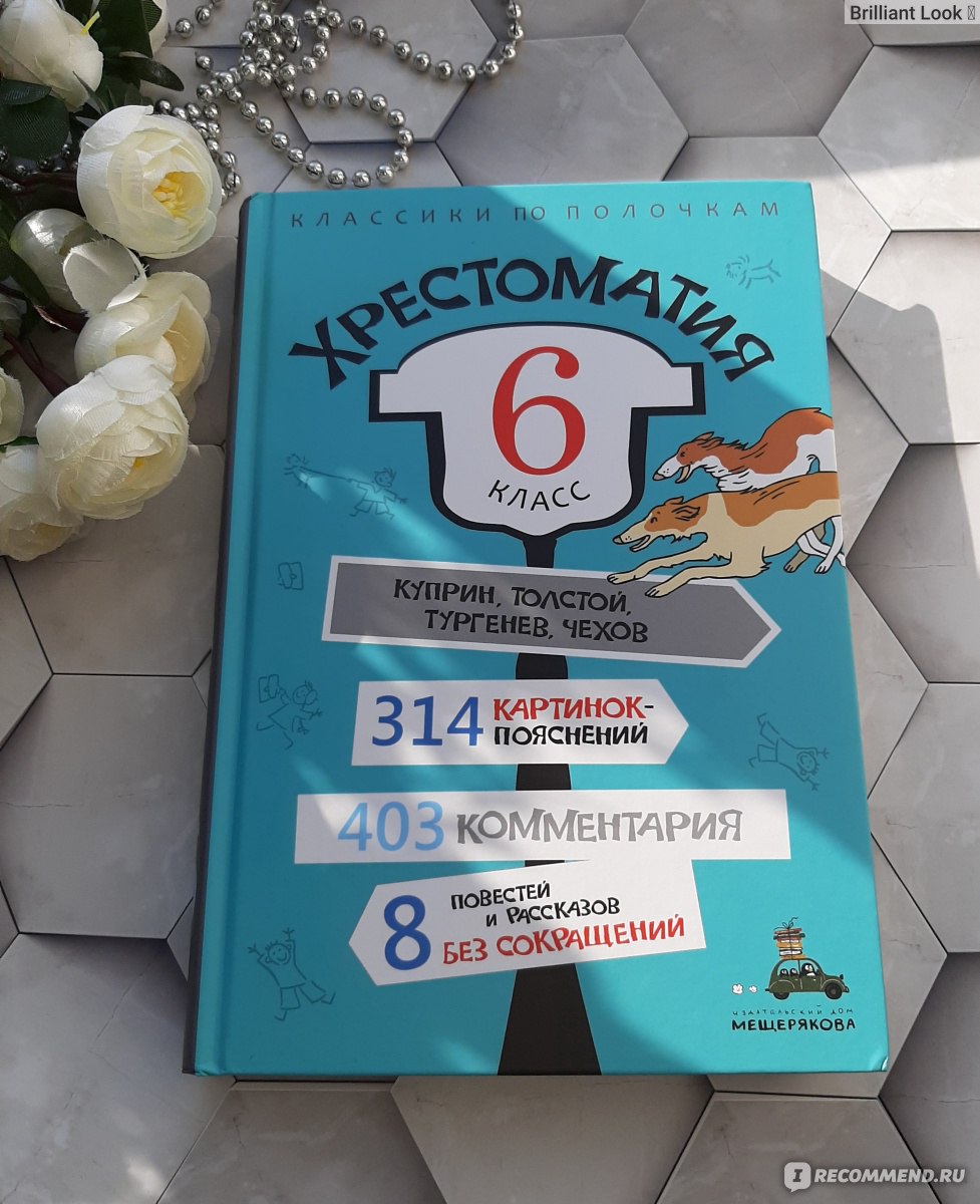 Классики по полочкам. Хрестоматия 6978 класс