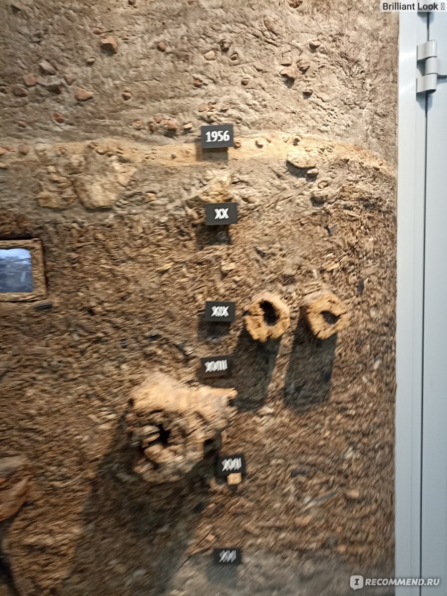 музей дерева свияжск
