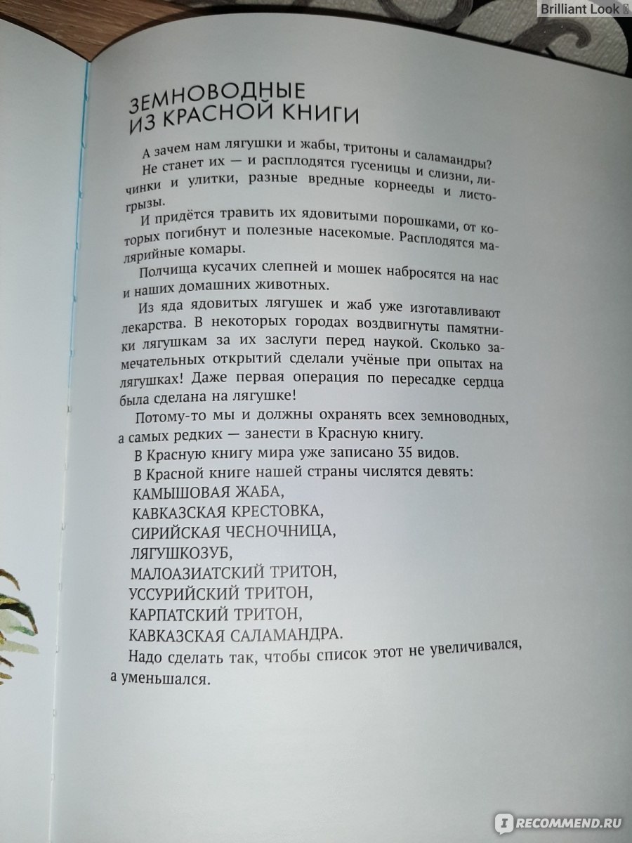 Энциклопедия: Земноводные нашей планеты. Издательский дом Мещерякова.  Николай Сладков - «Интересная книга о земноводных 🐸 с красивыми  рисунками.» | отзывы