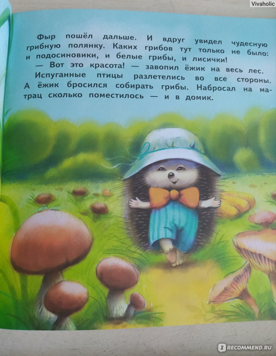 Как ежик лето спасал. Елена Чертова - «Добрые истории про ёжика, который  хотел всё-всё успеть. » | отзывы