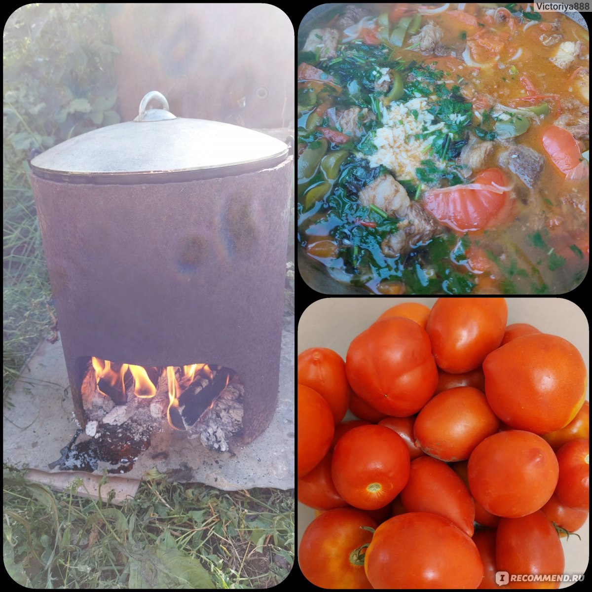 Овощи Томат или помидор - «🍅 Круглый год делаю пиццу только из своих  помидоров. Как заморозить помидоры на зиму? Что приготовить из помидоров?  Рецепт запеканки с курицей, кабачком и помидорами. 🍅» | отзывы