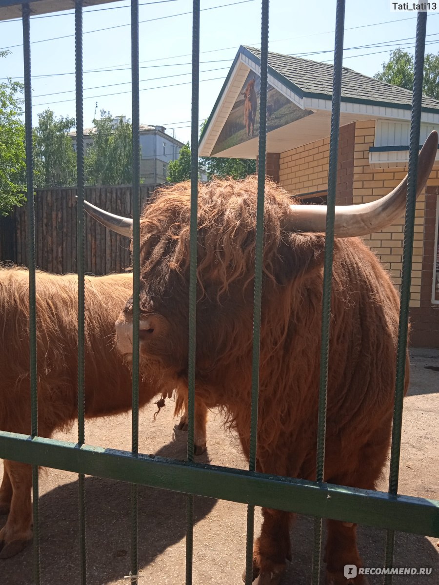 парк лимпопо нижний новгород