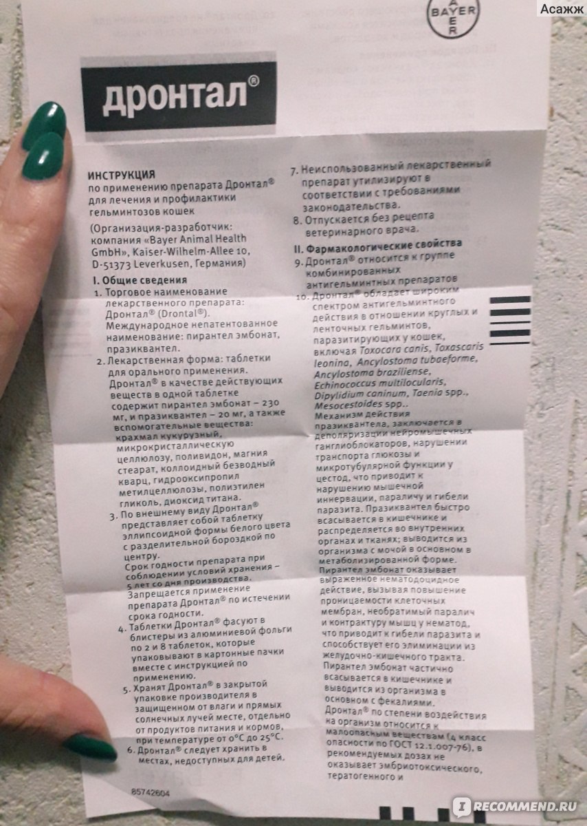 Антигельминтики Дронтал (Drontal) Таблетки от глистов - «Использовали  Дронтал в качестве профилактики. Глистов не было уже 10 лет, но в последний  раз изо рта кошки пошла пена.» | отзывы