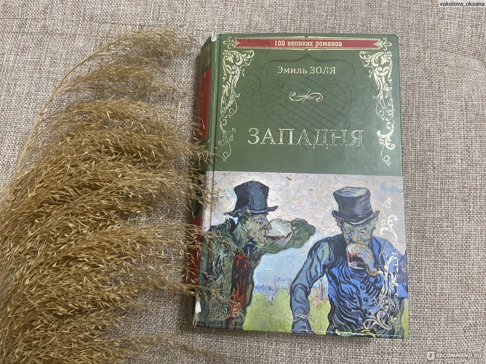 Западня, Эмиль Золя - «Когда мне нравится книга, то за ее героев я  переживаю как за своих друзей. Поэтому с грустью и надеждой наблюдала за  главной героиней. Книга, написанная во Франции в