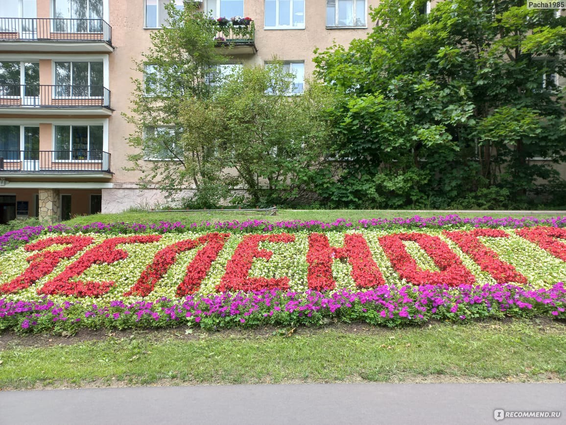 Секс знакомства Зеленогорск (Красноярский край)