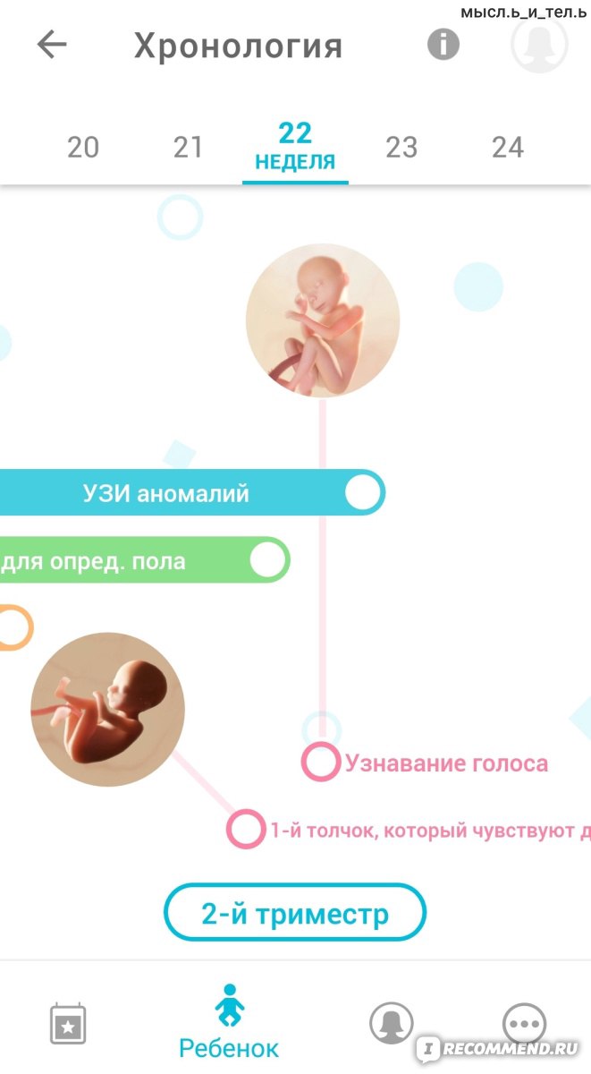 Мобильное приложение Беременность+ - «Находка для будущих мам 🤰 3D-модель  плода, полезные статьи о развитии ребёнка в утробе, дневник беременности и  многое другое в приложении Беременность +» | отзывы