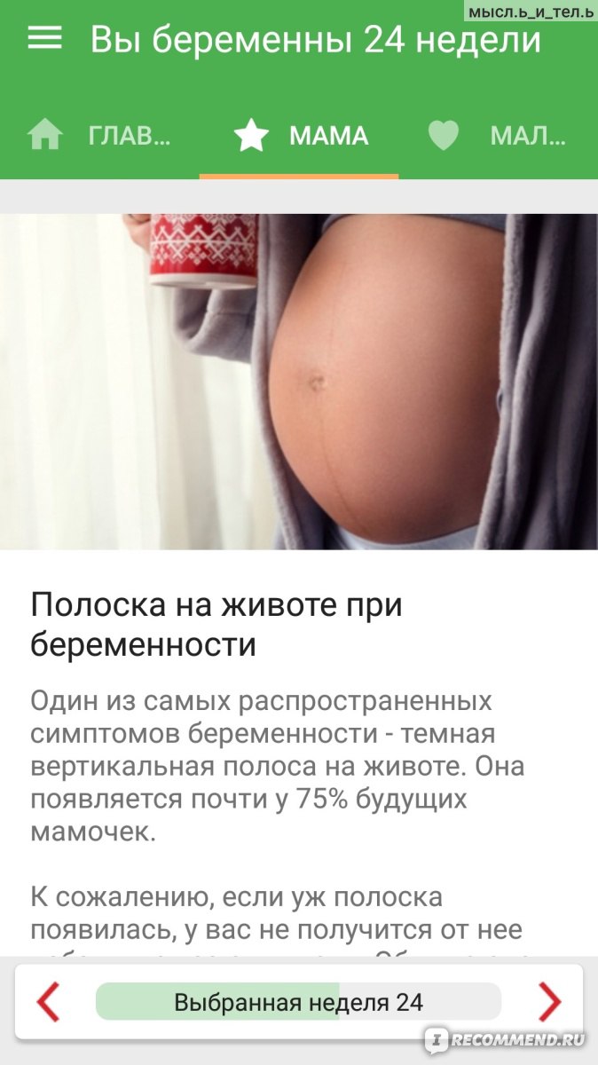 Компьютерная программа Календарь беременности Amila - «🤰🏻 👶🏻  Информативное приложение для будущих мам с парой недочётов. Мой опыт  использования 