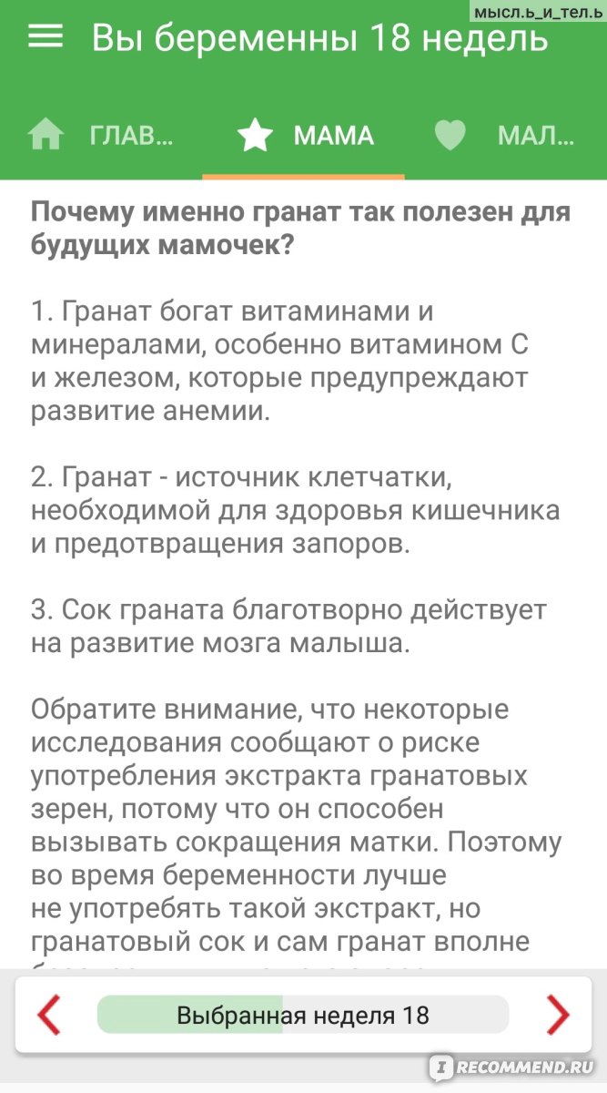 Компьютерная программа Календарь беременности Amila - «🤰🏻 👶🏻  Информативное приложение для будущих мам с парой недочётов. Мой опыт  использования 