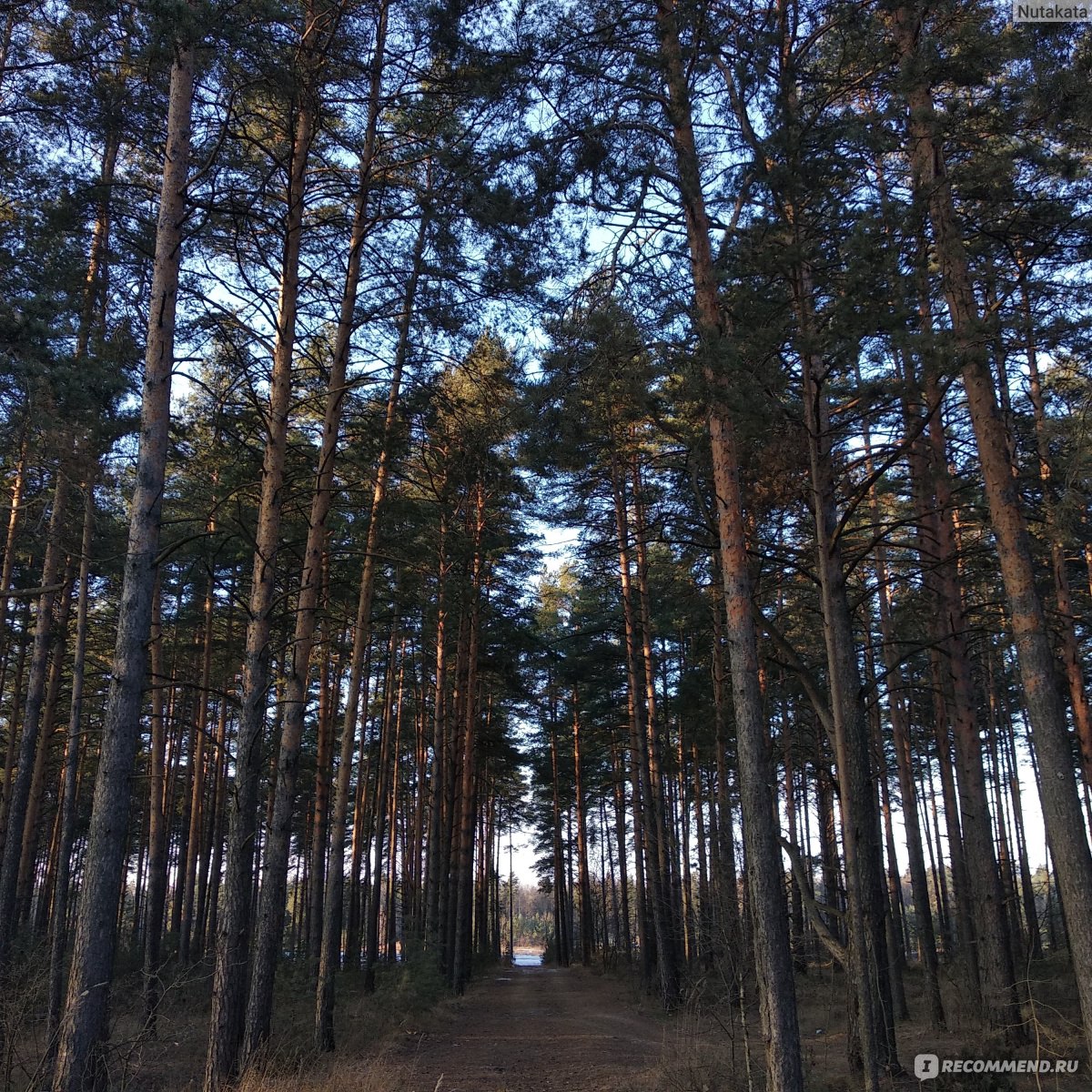 Пляж Улыбышевские карьеры, Владимир фото