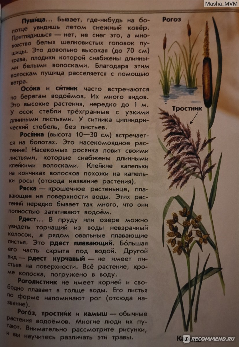 От земли до неба. Атлас-определитель. Андрей Плешаков - «Незаменимый атлас- определитель не только для учащегося, но и для всех дачников! » | отзывы