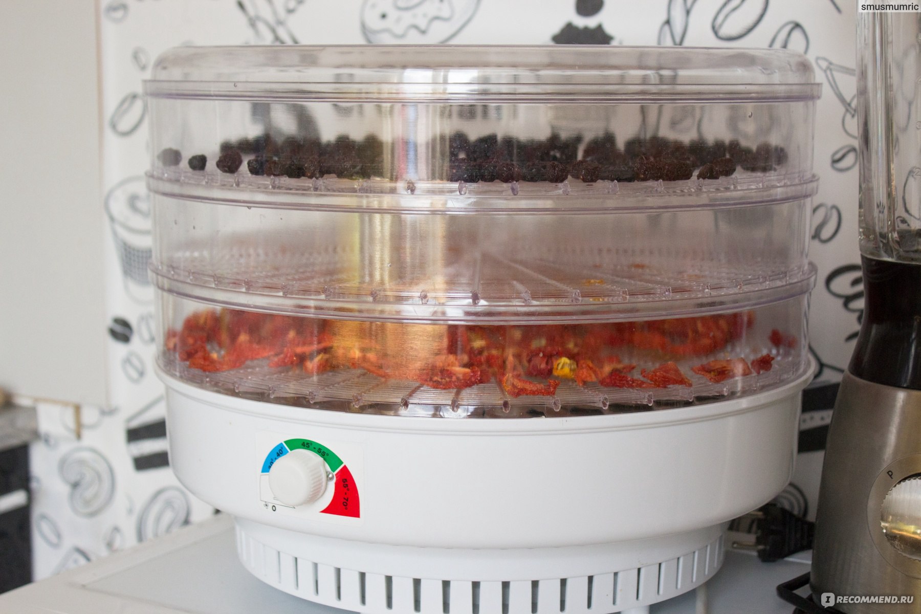 Сушильный шкаф для овощей и фруктов вымпел