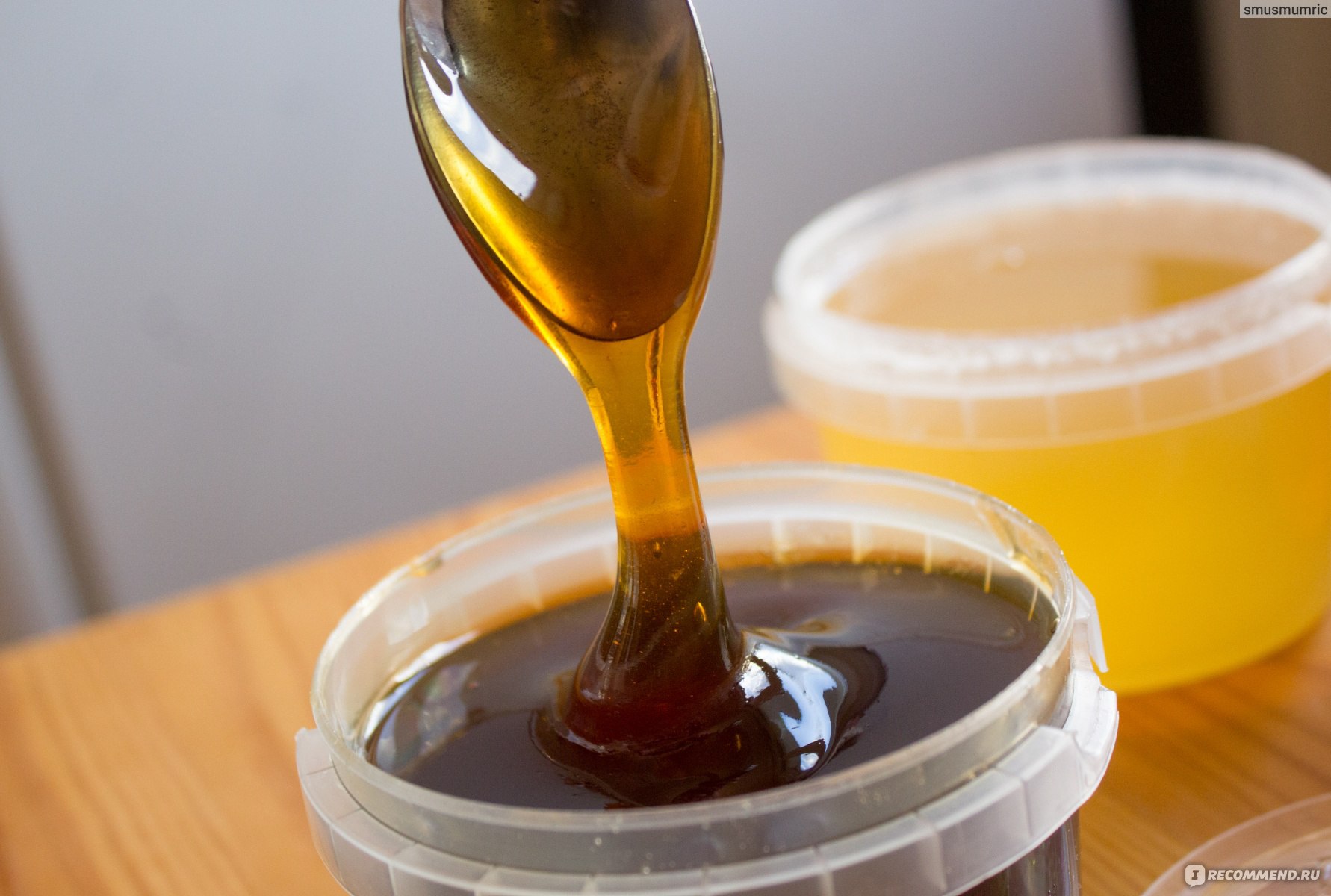 гречишный свежий мед с пластиковом ведерке