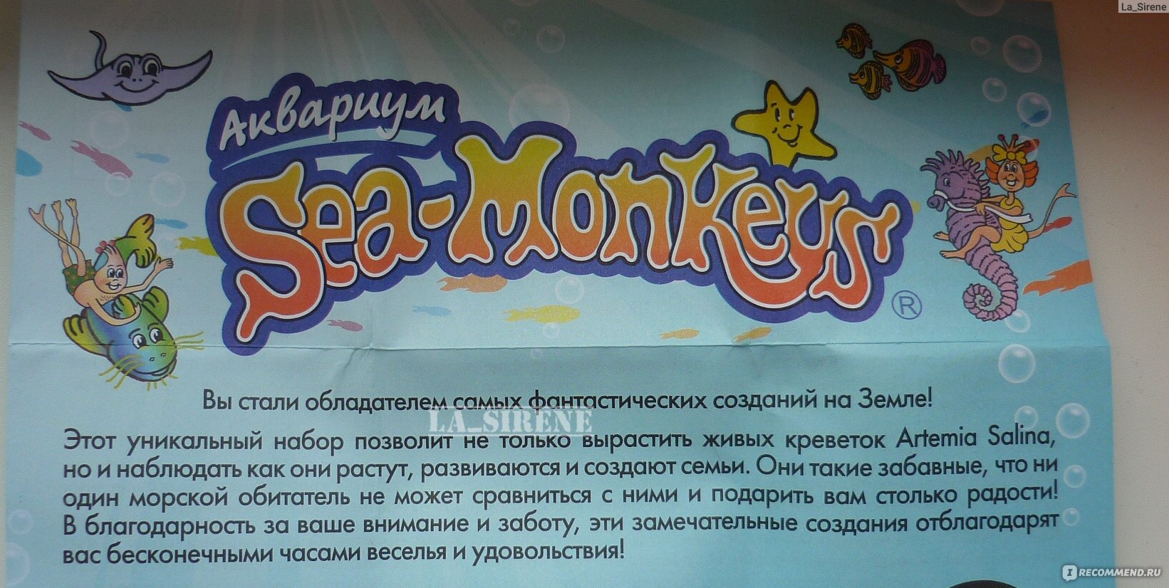 Инструкция морские обезьянки