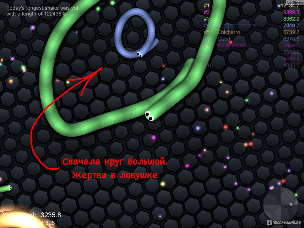 Сайт Slither.io - «Хитрости и секреты онлайн игры slither.io: как сменить  скин и попасть в топ? Как ускориться в слитхер.ио и играть во весь экран?  Скачать или играть на сайте? Тактика игры