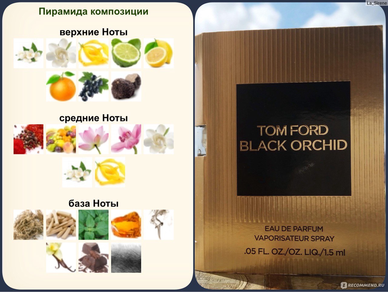 Tom Ford Black Orchid - «“Аромат мужской промежности”, завоевавший миллионы  женских сердец. Коварная Чёрная Орхидея Тома Форда, которую я полюбила,  несмотря на все сюрпризы» | отзывы