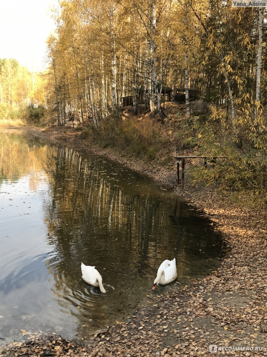 Развлекательный комплекс "В некотором царстве", Рязань фото