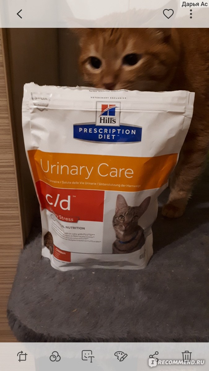 Корм для кошек Hill`s Prescription diet urinary care c/d urinary stress -  «История лечения кота Кузи от мочекаменной болезни. Коту предлагали  операцию, но мы справились без нее. В отзыве признаки мочекаменной болезни