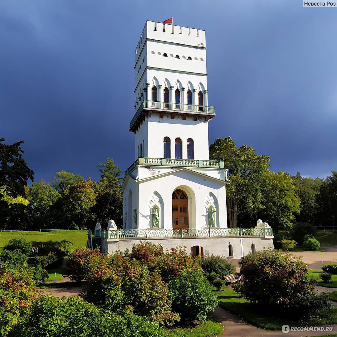 белая башня в пушкине
