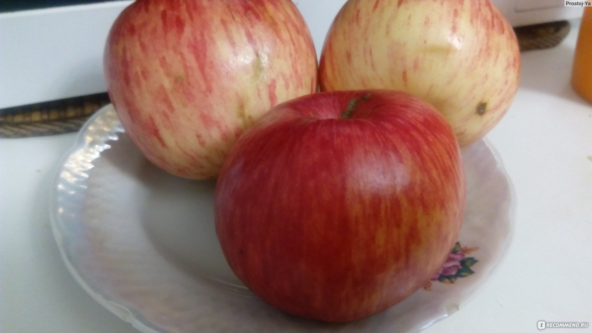 яблоко полосатое фото