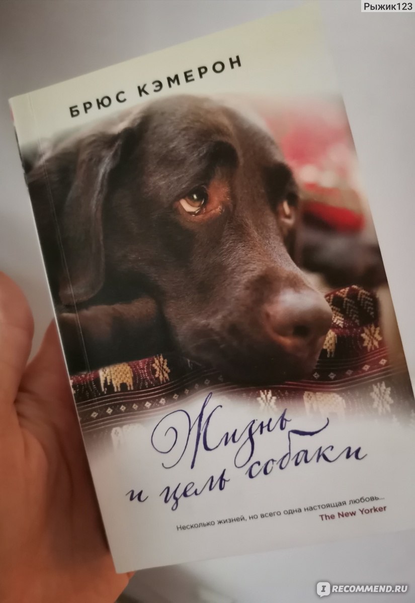 Жизнь собаки книга