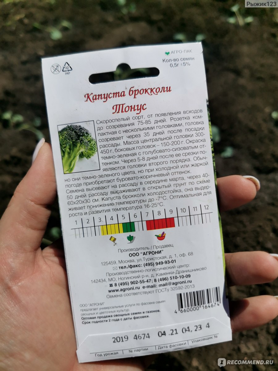 Семена капусты брокколи AGRONI 