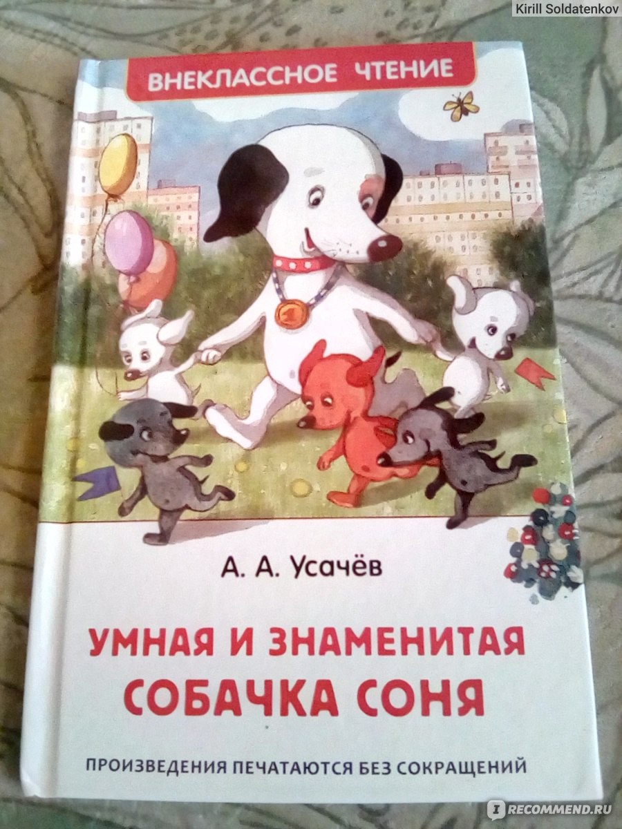 Умная и знаменитая собачка Соня. Андрей Усачёв - «Просто хорошая книжечка  для деток! » | отзывы