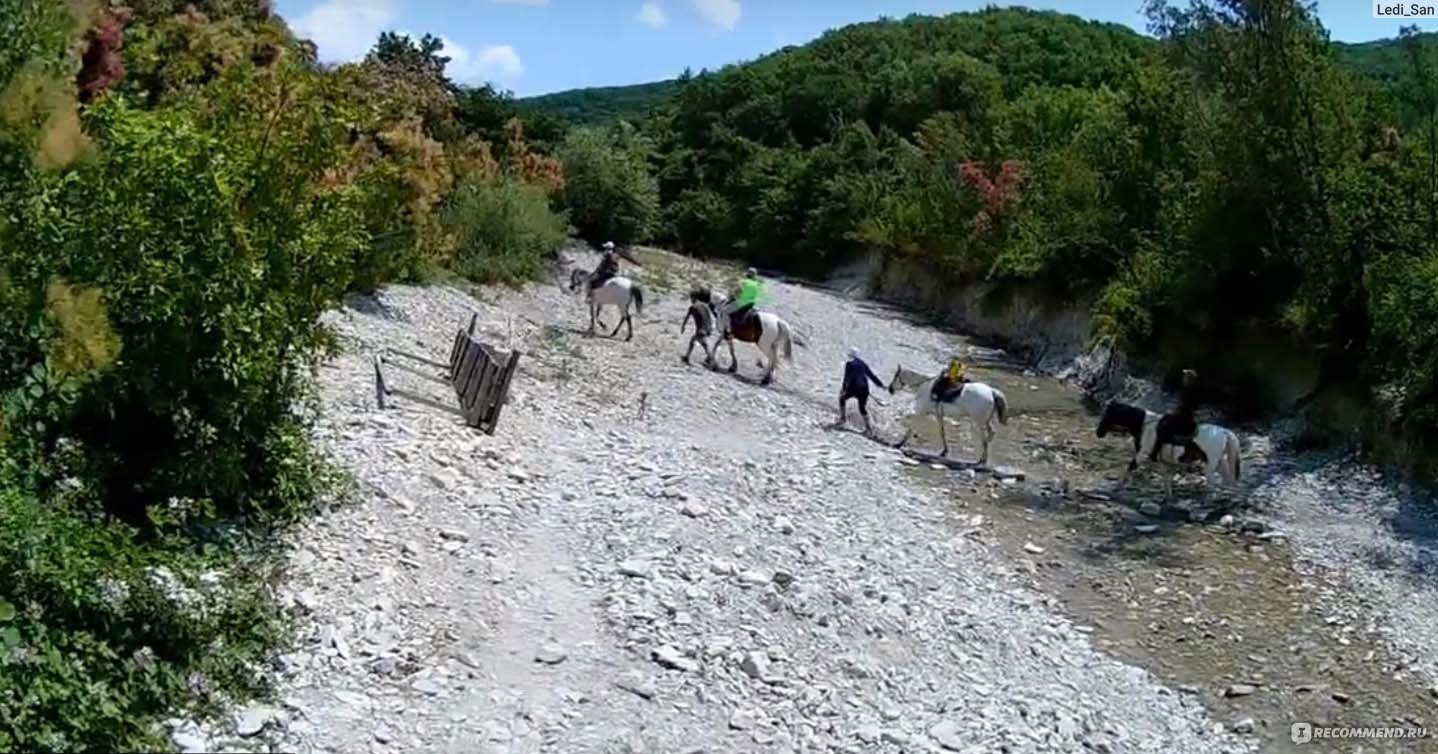 Конные прогулки Прасковеевка