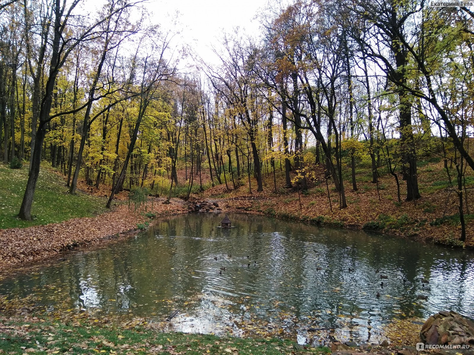 платоновского парка тула