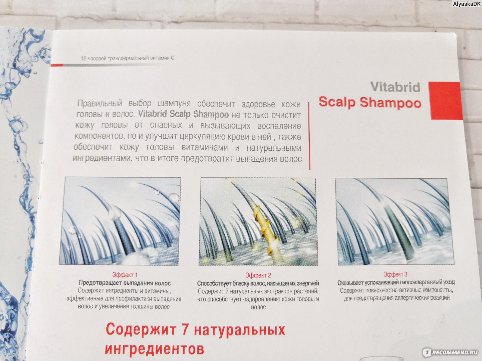 Шампунь VITABRID C12 SCALP SHAMPOO фото