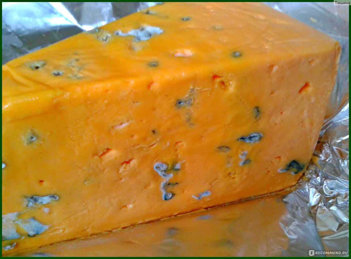 Сыр с плесенью Добряна "Золотистый" фото