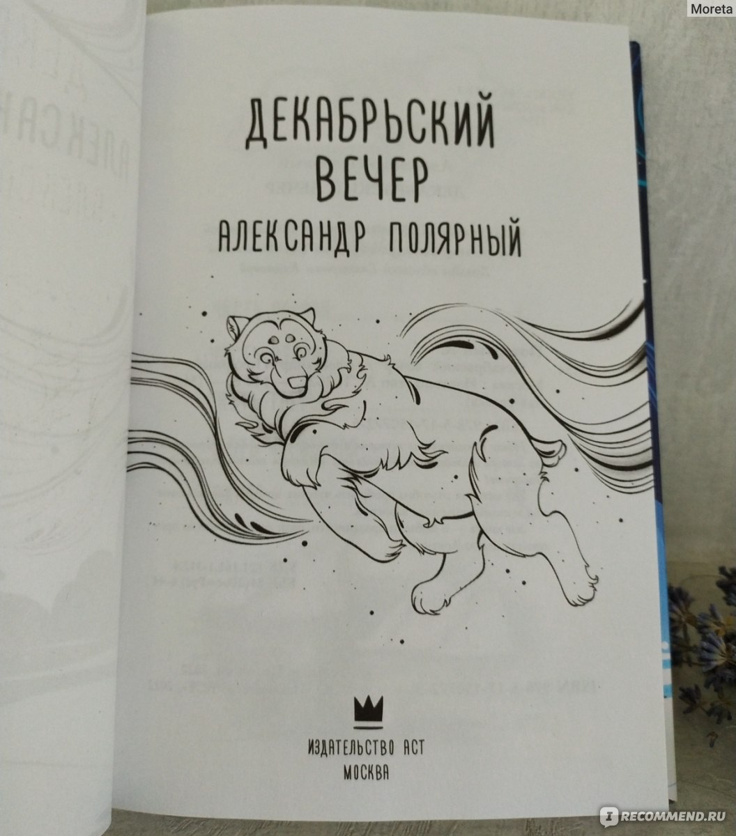 Декабрьский вечер. Александр Полярный - «Грустно и со смыслом. История,  которая читается очень быстро, но запоминается надолго.» | отзывы